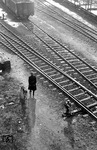 Der Güterklau machte der Bahn schon immer zu schaffen. Eine Hundestreife der Bahnpolizei auf einem Hamburger Rangierbahnhof soll dem entgegen wirken. (19.02.1958) <i>Foto: Walter Hollnagel</i>