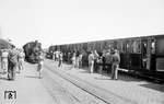 Hochbetrieb im Bahnhof Wangerooge. Während links 99 211 wartet, füllt sich der am Bahnsteig bereitgestellte Personenzug mit Sommerfrischlern. (08.1952) <i>Foto: Quebe</i>