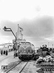V 200 046 (Bw Hamburg-Altona) wartet am Fähranleger von Großenbrode Kai auf den nächsten Einsatz. (1959) <i>Foto: Walter Hollnagel</i>