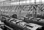 Blick in die Richthalle des Aw Braunschweig mit zahlreichen Loks der Baureihe 44 (vorne) und 01 1052 im Hintergrund.  (28.05.1968) <i>Foto: Helmut Bürger</i>
