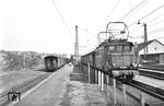 E 44 021 (Bw Stuttgart) ist mit einem Personenzug aus Heilbronn in Lauffen am Neckar eingetroffen. Links setzt gerade 99 716 der Schmalspurbahn nach Leonbronn um.  (24.03.1962) <i>Foto: Gerd Wolff</i>