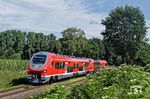 Am 11. und 12. Juli 2018 setze DB-Regio zum ersten Mal den neuen Link Triebwagen vom polnischen Hersteller Pesa ein, die wegen ihrers wuchtigen Aussehens bereits einen entsprechenden Spitznamen bekamen. Die zweiteiligen Triebwagen haben im Mai ihre Zulassung erhalten, seitdem sind auch die ersten Fahrzeuge in Dortmund zur Personal-Schulung unterwegs. Die Zweiteiler (Baureihe 632) sollen alle bis Oktober ausgeliefert und im Einsatz sein. Die bestellten Dreiteiler (Baureihe 633) werden erst im Frühjahr 2019 erwartet. Das Sauerland-Netz startete im Dezember 2016 mit Fahrzeugen der Reihen 612, 628, 640, 644 und 648. Die nagelneuen 632 107 und 632 108 wurden bei Dorsten auf der RB 43 "Emschertal-Bahn" (Dortmund – Dorsten) erwischt. (11.07.2018) <i>Foto: Marcus Henschel</i>