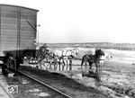 Trotz aller Technisierung und Motorisierung war der Einsatz von Pferden für die Wehrmacht im Zweiten Weltkrieg unverzichtbar. Da die Dieselmotoren der Lkw bei strengen Wintertemperaturen den Geist aufgaben oder im Morast versanken, mussten Pferdegespanne aushelfen, die zuvor noch als rückständiges Verkehrsmittel der Russen von den Deutschen belächelt worden waren, so wie hier bei dem Transport über den durch die Schneeschmelze aufgeweichten Boden. (1942) <i>Foto: RVM (Below)</i>