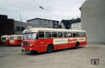 HHA Wagen 5000 (Typ Büssing 6000 T, Baujahr 1954) im Betriebshof Schützenhof. Bis 1958 lief der Bus unter der Nummer 196.  (09.1960) <i>Foto: Uwe Jens Jansen</i>