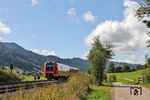 Nachdem der "Alex" zum 13. Dezember 2020 die Strecke München–Lindau/Oberstdorf an DB-Regio Bayern verloren hatte, dominieren hier ausschließlich Fahrzeuge der Baureihe 612, wie 612 058, der bei Trieblings am Alpsee als RE 3877 nach München unterwegs ist. (29.09.2021) <i>Foto: Joachim Bügel</i>