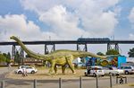 Die bis zu 8 m hohen und 28 m langen rekonstruierten Dinosaurier-Modelle können durchaus mit den Abmessungen der Rendsburger Brücke mithalten. Ein 648 ist als RB 21275 von Rendsburg nach Kiel unterwegs. (26.08.2022) <i>Foto: Thorsten Eichhorn</i>