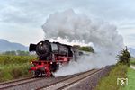 Am 4. Oktober 2022 veranstalteten die Ulmer Eisenbahnfreunde eine bezahlte Fotozugveranstaltung. Gefahren wurde morgens ein Fotozug mit 23 058 von Neustadt (Weinstr) nach Kandel, aufgenommen bei Edesheim. (04.10.2022) <i>Foto: Zeno Pillmann</i>