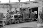 Die Lokomotiven Nr. 1 bis 7 (2. Besetzung) der Mecklenburg-Pommerschen Schmalspurbahn wurden 1906 bis 1913 von der Arnold Jung Lokomotivfabrik hergestellt. Die Loks erhielten zur Erweiterung der Reichweite einen zweiachsigen, durch die MPSB selbst hergestellten, Wassertender. Nach dem Ende des Zweiten Weltkrieges mussten die Lokomotiven 2, 3, 6 und 7 als Reparation an die Sowjetunion abgegeben werden. Aus der Nr. 1 wurde mit Übernahme durch die DR am 1. April 1949 die 99 3351, die bis zur Einstellung des Betriebes auf der MPSB im September 1969 dort im Einsatz war. 99 3351 wurde 1970 an einen Händler in Lauenburg/Elbe veräußert. 1973 kam die Lokomotive zum Georg Mohun Outdoor Steam Museum bei San Francisco. Ab 1985 war sie im Besitz der La Porte Country Historial Society bei Chicago und ab 1995 der Edaville Railroad, South Carver. 1998 erwarb das Frankfurter Feldbahnmuseum die Lok. Die komplett restaurierte Lok wird seit 2006 zu Museumsfahrten genutzt.  (18.08.1966) <i>Foto: Gerd Wolff</i>