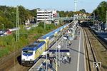 146 535 wartet mit ME 81965 im Bahnhof Buchholz (Nordheide) auf die Weiterfahrt nach Tostedt, auch wenn der Zugzielanzeiger auf dem Bahnsteig etwas anderes anzeigt. (10.2013) <i>Foto: Benno Wiesmüller</i>