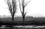 Durch die typische Marschlandschaft Nordfrieslands röhren 012 082 und 012 104 vor dem D 820 nach Westerland (Sylt) bei Siethwende. (01.05.1972) <i>Foto: Reinhard Gumbert</i>