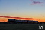 Noch vor Sonnenaufgang erreicht der erste Zug RE 11000 aus Husum mit 245 203 bei Archsum die Insel Sylt. (08.10.2023) <i>Foto: Joachim Bügel</i>