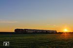Mit Sonnenaufgang erschien bei Archsum 245 005 mit dem DB-Gebrauchtwagenzug RE 11052 nach Westerland (Sylt) auf der Bildfläche. (08.10.2023) <i>Foto: Joachim Bügel</i>