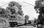 250 256 (Bw Halle P) mit einem Güterzug unweit der Gemeinde Oberroßla. (25.07.1984) <i>Foto: Thomas Fischer</i>