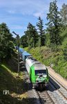 Der überregionale Güterverkehr in der Oberpfalz ist fest in der Hand der Salzburger Eisenbahn Transportlogistik GmbH (kurz: SETG). Mit DGS 59700 von Regensburg nach Hof passiert SETG ER 20-01 (223 102) das Einfahrsignal von Reuth b Erbendorf. (18.06.2024) <i>Foto: Joachim Bügel</i>