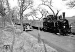 99 061 vom Bw Vacha mit einem Güterzug kurz vor Ende der Schmalspurzeit auf der Feldatalbahn zwischen Dorndorf (Rhön) und Kaltennordheim bei Dermbach. (1933) <i>Foto: RBD Erfurt</i>