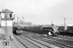 BR 60024 (ex LNER A4 4483 "Kingfisher") verlässt mit einem Schnellzug die schottische Hafenstadt Aberdeen. Eine Lok dieses Typs erreichte am 3. Juli 1938 einen mit 201,2 km/h gemessenen Geschwindigkeitsrekord, der allerdings umstritten ist, weil er auf einer leicht abschüssigen Strecke erreicht wurde und die Lokomotive den Rekordversuch mit einem heißgelaufenen Treibstangenlager nicht unbeschädigt überstand.  (1965) <i>Foto: Robin Fell</i>