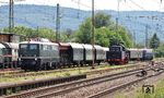 In Ettlingen rangierte die Fuhre bei den UEF, um einen weiteren Wagen mitzunehmen. Dort trafen die DB-Museumsloks E 40 128 und E 41 001 auf 58 311. (25.07.2024) <i>Foto: Thomas Gries</i>