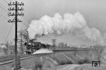 44 1696 vom Bw Göttingen Vbf mit einem Güterzug auf der Cornberger Rampe. Hier war von Bebra bis zum Cornberger Tunnel auf 12 km Streckenlänge ein Hö­hen­un­ter­schied von 108 Me­tern zu überwinden.  (23.03.1962) <i>Foto: Wolfgang Jahn</i>