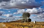 Die class 25 der South African Railways (SAR) war eine Dampflokomotive mit Kondensationseinrichtung und die leistungsfähigste und am längsten eingesetzte Lokomotive dieser Bauart. Sie wurde auch als class 25 NC (Non Condensing, ohne Kondensationseinrichtung) geliefert. SAR 25 NC No. 3402 ist hier mit einem Güterzug auf der Hauptstrecke von De Aar nach Kimberley unterwegs. (03.09.1972) <i>Foto: Robin Fell</i>