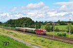 243 005 der Traditionsgemeinschaft Bw Halle P befördert einen Zug aus drei Wagen anläßlich einer privaten Charterfahrt zwischen Leipzig-Engelsdorf und Borsdorf. Das Foto entstand von einer Böschung an der Autobahn A 14 bei Leipzig. (15.06.2024) <i>Foto: Ralf Opalka</i>