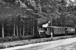 Damppflok 1 AURICH (Hagans, Baujahr 1899) mit einem Personenzug bei Sandhorst auf der schmalspurigen Kleinbahn Leer–Aurich–Wittmund (LAW). (08.1952) <i>Foto: Aad van Ooy</i>