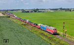 218 369 und PRESS 218 055 (ex 218 458) verlassen mit Autozug AS 1445 nach Niebüll den Betriebsbahnhof Lehnshallig. (04.08.2024) <i>Foto: Joachim Schmidt</i>