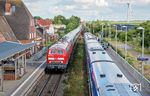 Für 218 322 und 379 geht es vor IC 2374 (Hannover - Westerland/Sylt) ohne Halt durch den Bahnhof Klanxbüll, während RE 11035 nach Hamburg-Altona die Zugkreuzung abwarten muss. (04.08.2024) <i>Foto: Atijana Schmidt</i>