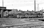 Im Bw Bremen Rbf warten 44 1174, 50 2513, 44 073 und 44 149 auf neue Aufgaben. (1967) <i>Foto: Alan Orchand</i>