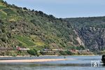 Am Kammereck-Tunnel südlich von St. Goar begegnet der "Blümchentod" mit zwei 212ern einem südwärts fahrenden Güterzug mit 193 564 in Diensten von RTB CARGO Düren. Die DB ist weiterhin der größte Einzelverbraucher des Giftes! Das klingt dramatisch, die Zahlenlage verändert den Eindruck aber gewaltig: Der große Einzelverbraucher verbraucht nur etwa 1 Prozent der Gesamtmenge. 99 % werden von Landwirtschaft und Privaten verbraucht. Manche streuen das Zeug völlig überdosiert auf kleine Grünpflanzen im Rinnstein. Mangels funktionierender Alternativen erscheint das Glyphosat im Gleisbett – verdünnt ausgebracht – weiterhin eine einigermaßen vernünftige und praktikable Lösung zu sein. (04.08.2024) <i>Foto: Zeno Pillmann</i>