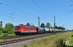 155 249 der Leipziger Dampf KulTour mit einem 2700 Tonnen-Getreidezug von Bad Schandau nach Neuss Gbf kurz vor Engelsdorf. (25.06.2024) <i>Foto: Ralf Opalka</i>