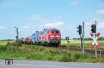 218 369 und PRESS 218 055 (ex 218 458) fahren mit einem Syltshuttle in den Betriebsbahnhof Lehnshallig ein. (04.08.2024) <i>Foto: Joachim Schmidt</i>