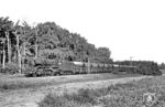 41 1137 (Bw Oebisfelde) mit Dg 53723 bei Flechtingen, der zu den ältesten Orten der Altmark gehört. Er wird bereits 961 in einer für das Magdeburger Moritzkloster bestimmten Schenkungsurkunde von König Otto I. erwähnt.  (29.08.1981) <i>Foto: Thomas Fischer</i>