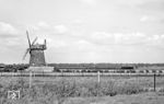 An der 1870 entstandenen Turmwindmühle von Groß Ammensleben fährt 41 1137 mit einem Güterzug vorbei.  (29.08.1981) <i>Foto: Thomas Fischer</i>