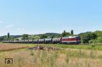 Wenige Kilometer hinter Caaschwitz macht die Strecke bei Pötewitz eine Biegung Richtung Osten. Bei Mittagshitze und höchstem Sonnenstand kommt 142 001 mit dem Kesselwagenzug nach Zeitz angebrummt. (15.07.2024) <i>Foto: Ralf Opalka</i>