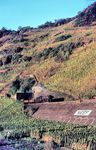 Im schönsten Herbstlicht erscheint 044 888 mit einem Güterzug auf dem Weg nach Ehrang am Petersberg-Tunnel bei Neef. (16.10.1971) <i>Foto: Herbert Vaupel</i>