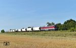 142 001 der Erfurter Bahnservice Gesellschaft passiert mit einem Getreidezug ein abgeerntetes Feld bei Zitzschen an der Strecke von Leipzig nach Zeitz.  (15.07.2024) <i>Foto: Ralf Opalka</i>