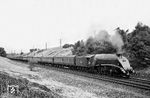 BR 60003 (ex LNER A4 4494) mit einem Schnellzug auf der East Coast Main Line von Edinburgh nach London Kings Cross bei Grantham in der englischen Grafschaft Lincolnshire. Grantham war die Heimatstadt der britischen Premierministerin Margaret Thatcher und Schulstätte von Isaac Newton.  (01.07.1961) <i>Foto: Robin Fell</i>