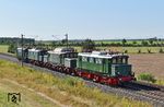 Aus Anlass der Feierlichkeiten zu "95 Jahre Instandhaltung elektrischer Lokomotiven" im Werk Dessau wurden E 44 044 (Zuglok), E 94 056, E 04 01 und E 44 046 überführt. Das Foto entstand bei Zschortau zwischen Leipzig und Bitterfeld.  (27.08.2024) <i>Foto: Ralf Opalka</i>