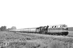 Fotografenglück sieht irgendwie auch anders aus. 118 030 des Bw Oebisfelde als Vorspann vor 41 1185 am D 447 (Köln - Leipzig) bei Lemsell vor Haldensleben. (18.07.1982) <i>Foto: Thomas Fischer</i>