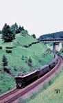 E 16 08 mit einem Schnellzug an der Autobahnbrücke der A 8 bei Bergen (Oberbay).  (05.1958) <i>Foto: Carl Bellingrodt</i>