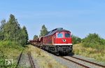 232 701 fährt mit leeren Schotterwagen zum Schotterwerk nach Lüptitz durch den ehemaligen Bahnhof Böhlitz-Collmen auf der Bahnstrecke Wurzen–Eilenburg. (29.08.2024) <i>Foto: Ralf Opalka</i>