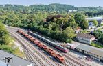 Der Sonderzug der EFW mit V 200 033 (und 212 079) aus Lippstadt ist im Bahnhof Warstein angekommen. Die Eisenbahn-Freunde Warstein e.V. haben sich 1984, also vor 40 Jahren, gegründet und haben aktuell 40 (sic!) Mitglieder. (01.09.2024) <i>Foto: Joachim Schmidt</i>