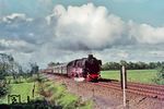 Am Tag nach dem Fahrplanwechsel Sommer 1975 war 012 061 letztmalig auf der Emslandstrecke mit einem Sonderzug nach Norddeich Mole unterwegs. Bei Steenfelde fährt der Zug auf Ihrhove zu. (01.06.1975) <i>Foto: Herbert Vaupel</i>