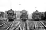 Im Bw Münster (Westf) treffen sich die Gastloks 01 058 aus Rheine, 23 015 aus Hagen-Eckesey und 18 319 des BZA Minden (Westf). (05.10.1962) <i>Foto: Bernd Kappel</i>