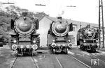 Im Bw Würzburg kamen oft interessante Lokomotiven zusammen. Hier sind es 01 093 (Bw Würzburg), 01 051 (Bw Treuchtlingen) und 64 437 (Bw Würzburg). (11.10.1962) <i>Foto: Bernd Kappel</i>