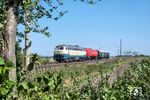 Eigentlich sollte an diesem Tag 01 1104 nach Braunschweig fahren. Eine massive Stellwerksstörung in Elmshorn ließ den Sonderzug ausfallen. Auch die zufällig bei Königslutter am Elm mit einem Hilfszug vorbeikommende 218 003 der Train4Train GmbH Bodenwerder war da keine Entschädigung. (06.09.2024) <i>Foto: Joachim Schmidt</i>