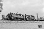 Auf der Strecke bis Kleinschmalkalden (Pappenheim/Thür) verkehrten Ende der 1970er Jahre noch 5 Personenzüge täglich. In den 1960er Jahren war der Zugverkehr auf der Reststrecke hinter der Pappenheimer Spitzkehre bis Brotterode bereits stillgelegt worden. Im Sommer 1974 waren die Meiniger 86 1270 und 94 1909 mit einem Arbeitszug bei Seligenthal unterwegs. (07.1974) <i>Foto: Martin Heller</i>