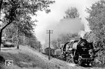 52 8016 (Bw Zittau) dampft mit dem Ng 65277 durch die sommerlichen Wälder der Oberlausitz in Hohberg bei Sohland an der Spree. (21.08.1987) <i>Foto: Thomas Fischer</i>