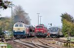 218-Treffen im Bahnhof Niebüll: 218 460 der WestFrankenBahn an ihrem ersten Einsatztag vor dem 'Sylt-Shuttle' vor 218 836 in der Ausfahrt aus dem Bahnhof Niebüll. Daneben warten zwei 218 (vorne 218 208), die die Kurswagen des IC 2310 nach Dagebüll Mole weggesetzt haben. (25.10.2018) <i>Foto: Joachim Schmidt</i>