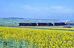 Durch die blühenden Landschaften am Vogelsberg zwischen Alsfeld (Oberhess) und Zell-Romrod rollen 01 1066 + 01 150 + 23 105. (29.04.1990) <i>Foto: Joachim Bügel</i>